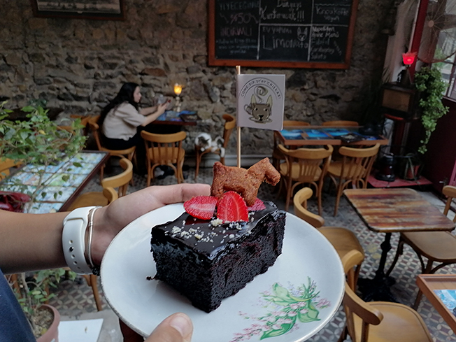 Brownie